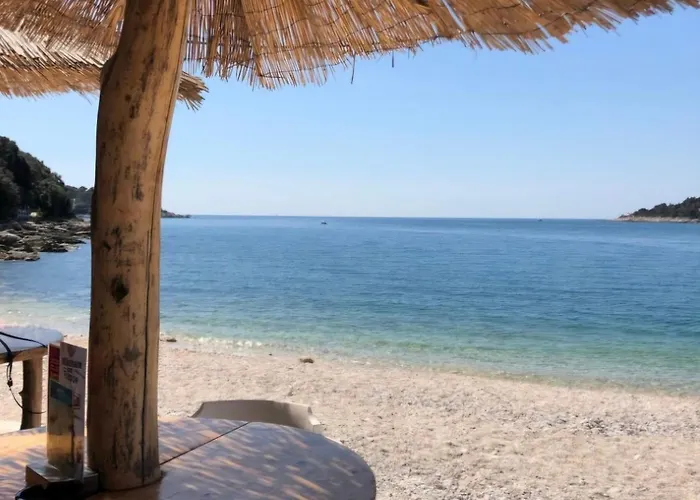 Art Zeus Appartement